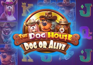 Игра The Dog House Dog Or Alive в ЛТС казино